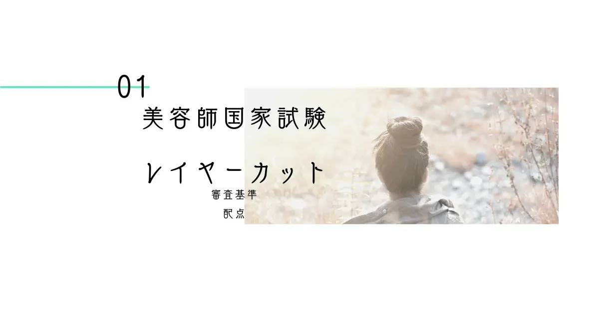 最新版│美容師国家試験│実技試験衛生セット｜オルクリブログ